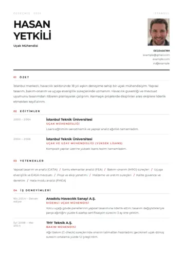 Havacılık Ve Uzay Uçak Mühendisi Cv Örnekleri cv indir